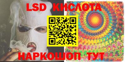 гидропоника Гусев