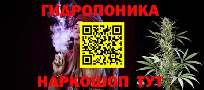 гидропоника Гусев