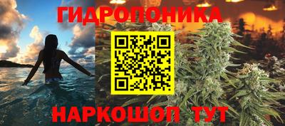 мяу мяу мука Гусь-Хрустальный